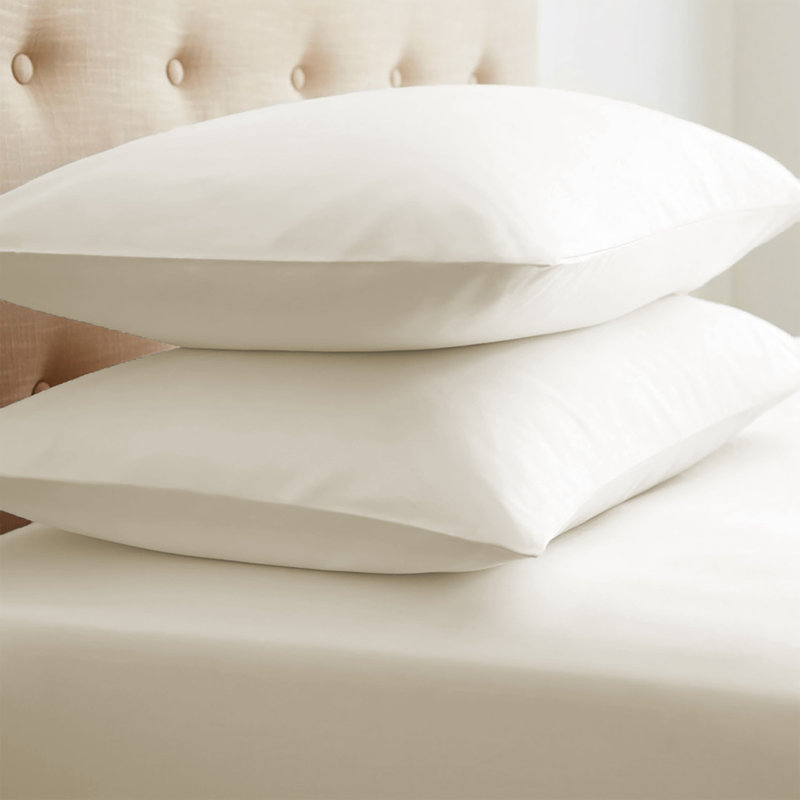 Ivory Hypoallergenic Cotton Polyester Standard Pillowcase Set
