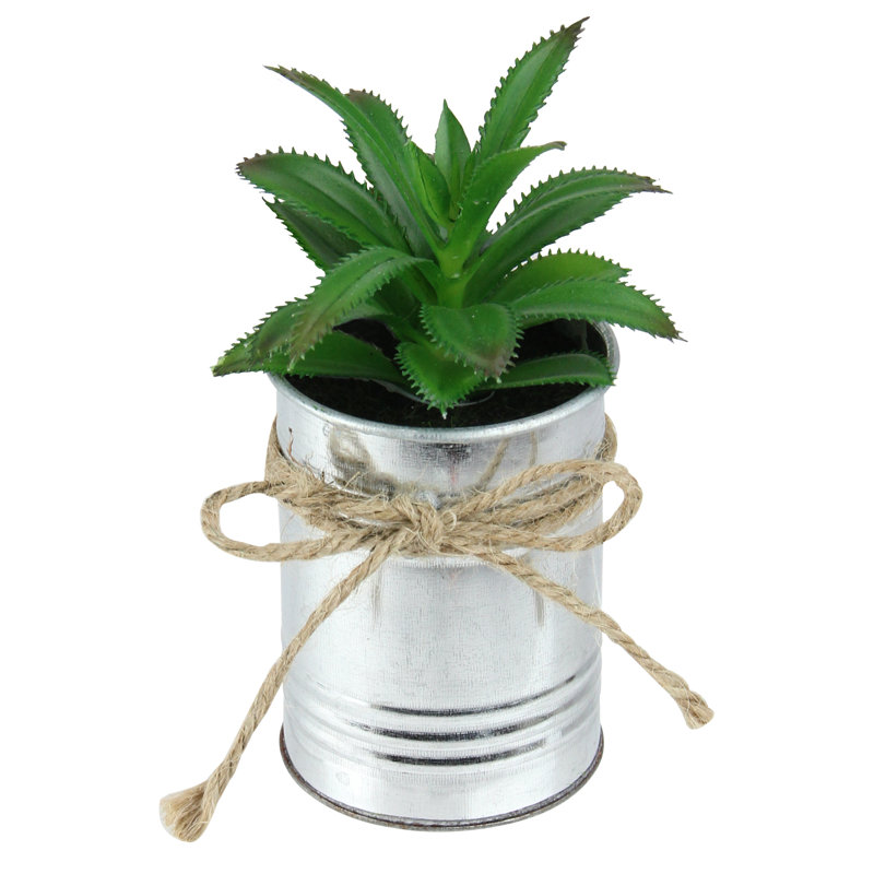 Festive 6" Mini Potted Green Succulent in Silver Tin Planter