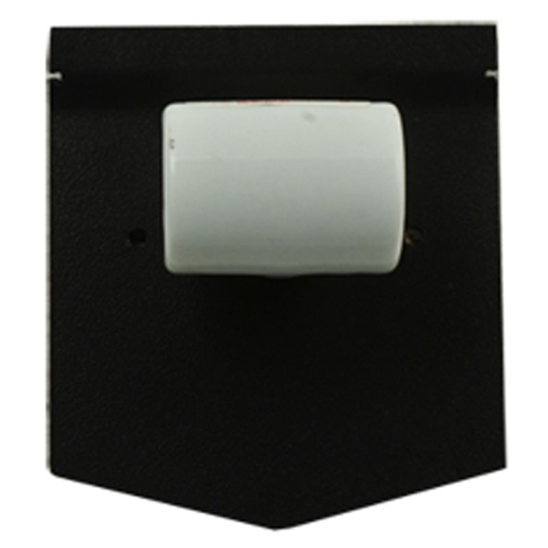 Black Bear Catch 2-Light Bronze Wall Sconce with Silver Mica Shade