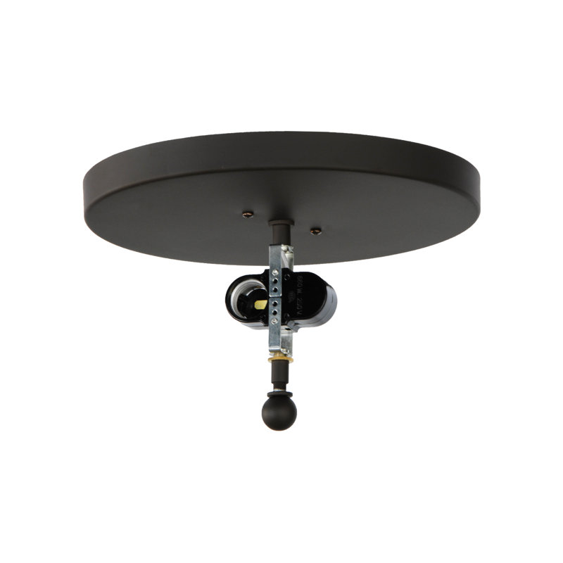 Bronze Glass 2-Light Indoor/Outdoor Flush Mount