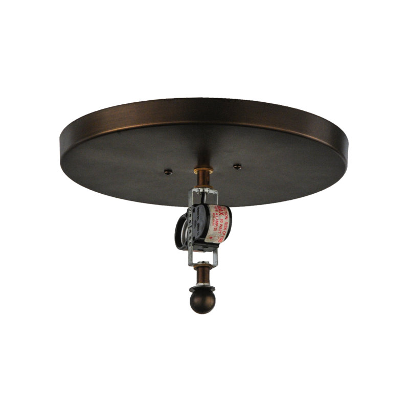 Copper Globe 2-Light Energy Star Indoor/Outdoor Flush Mount