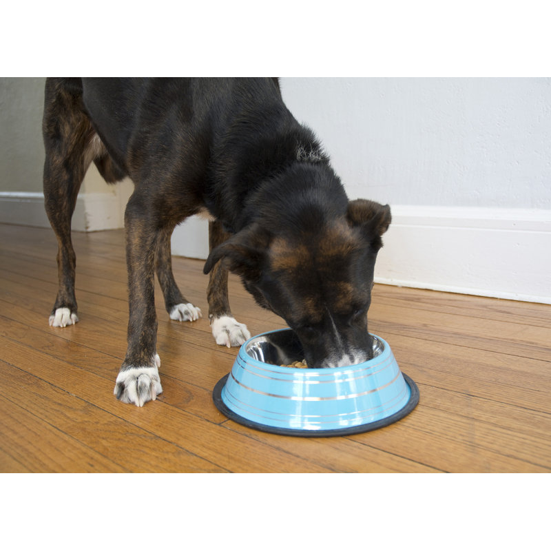 Green Stainless Steel Non-Skid Pet Bowl, 16 Oz