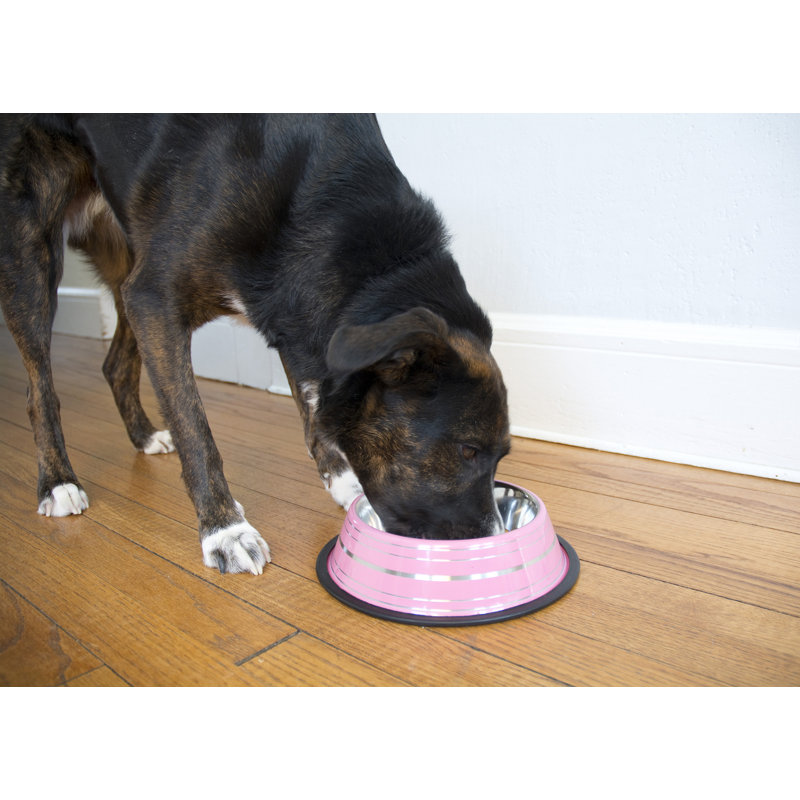 Green Stainless Steel Non-Skid Pet Bowl, 16 Oz
