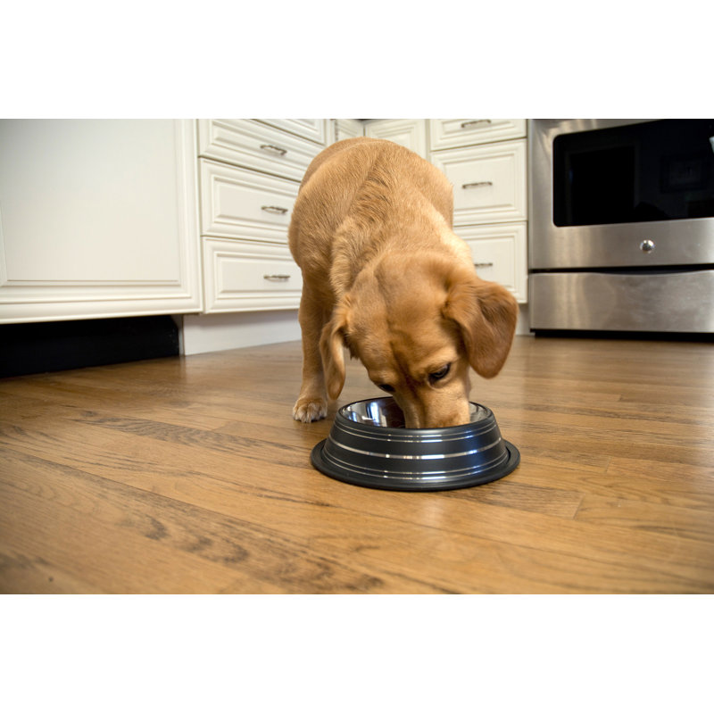 Green Stainless Steel Non-Skid Pet Bowl, 16 Oz