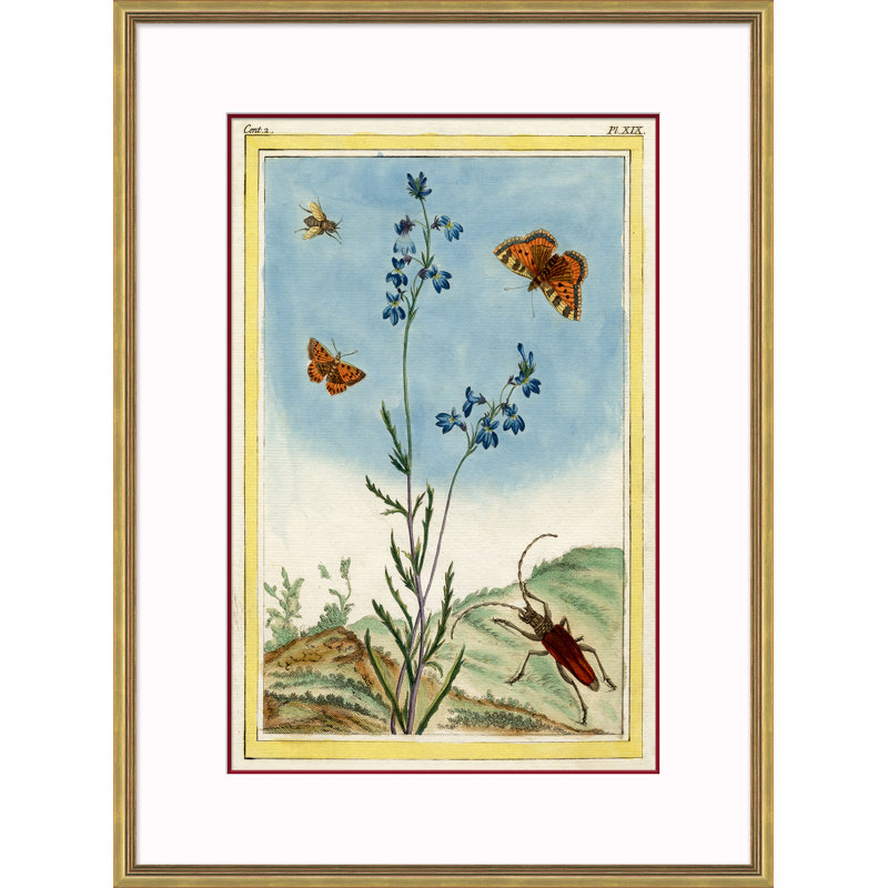Framed Botanical Insect Print with Gold Trim