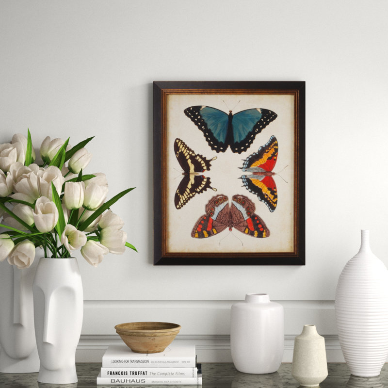 Black Framed Butterfly Graphic Art Print