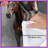 Two Running Horses Comforter-123586565