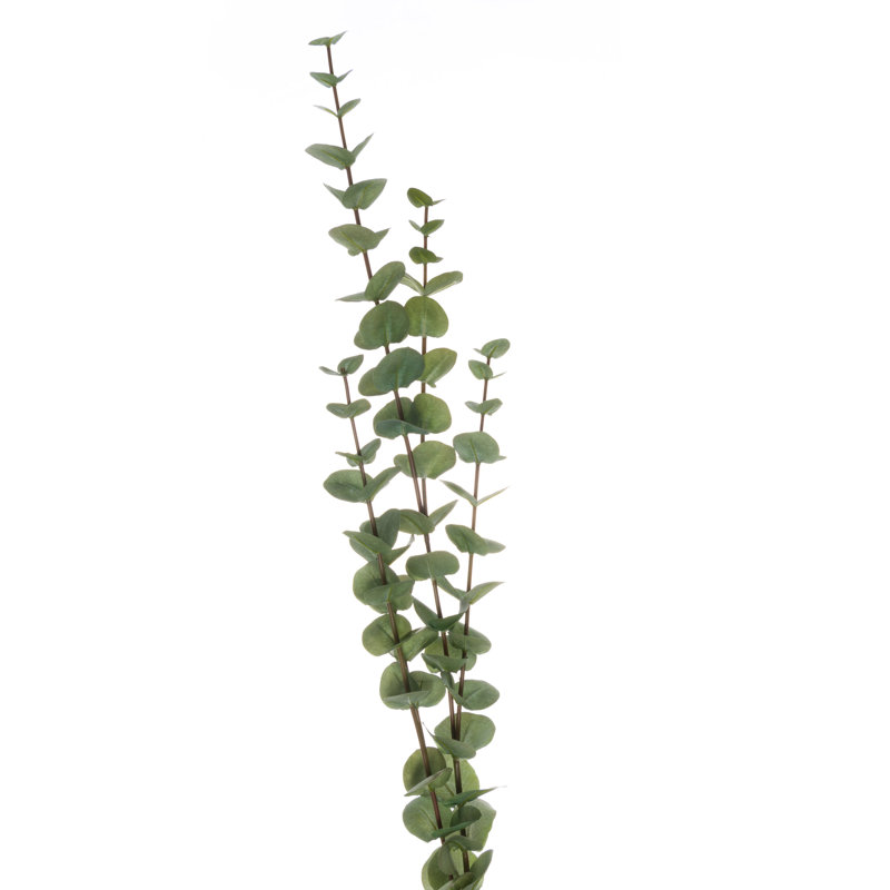Anastasija Arrangement