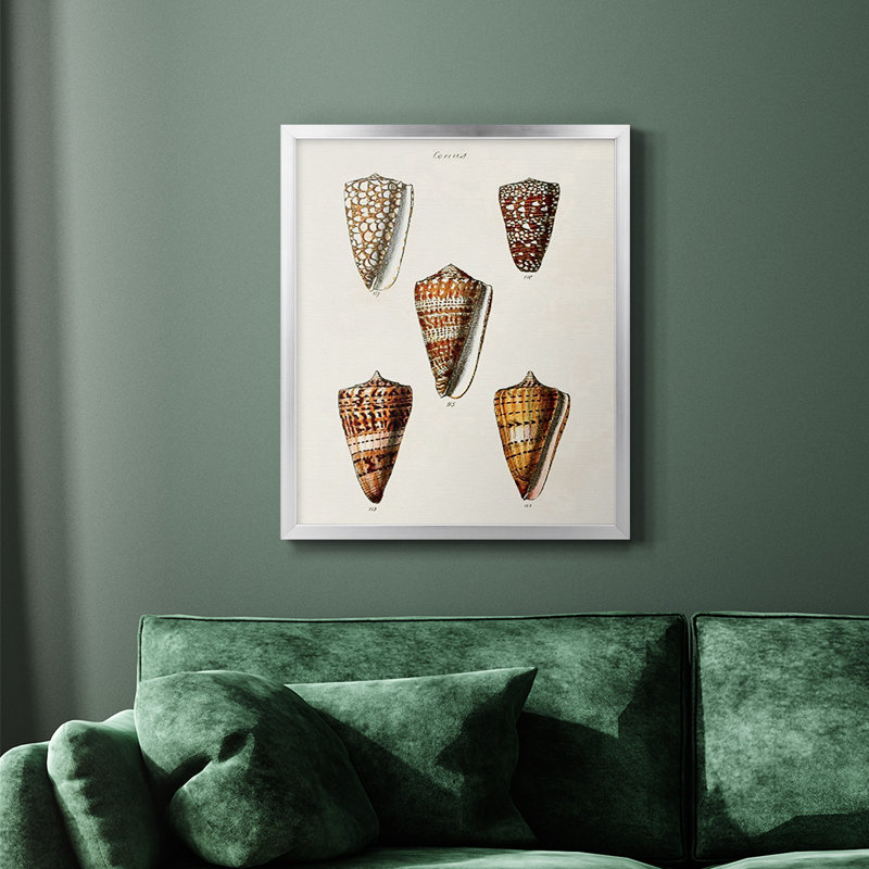 Toile encadrée de qualité supérieure Cone Shell Collection II - prête à être accrochée, Argent, H 24 po x l 20 po