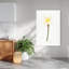 Fresh Spring Daffodil Delicate Elegant Minimalist Daffodil Flower Nature Wall Art Print by NKTN - Wrapped Canvas Print-1843996957