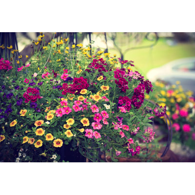Panier coloré suspendu coloré multicolore, printemps et été