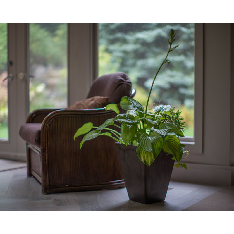Cara Composite Square Pot Planter Set, Black