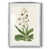 Silver Framed Paper is unavailable