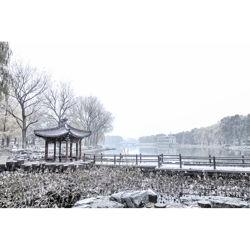 Wiprecht Big Snow In A Park - Wrapped Canvas Print, 30cm H x 46cm W x 3.8cm D
