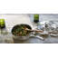 Stainless Steel Saute Pan with Lid-459974025