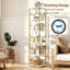 149.5 cm H x 30 cm W Bookcase