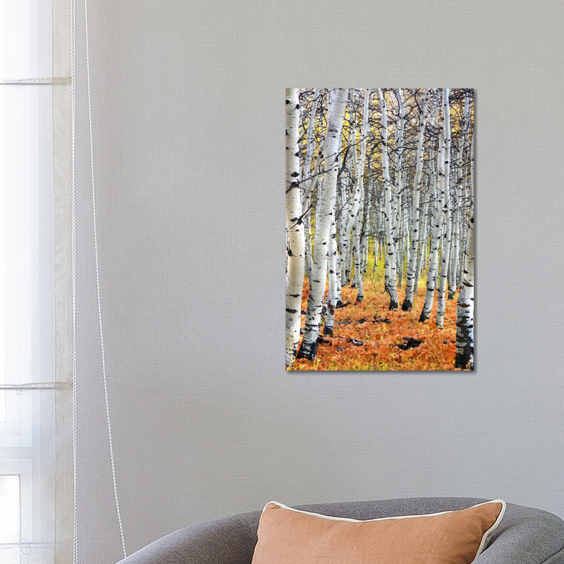 Autumn In Aspen - Wrapped Canvas Print, 66.04 cm H x 45.72 cm W x 1.91 cm D