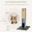 Grattoir pour chat, chat 31 po pour chats d'intérieur, gris