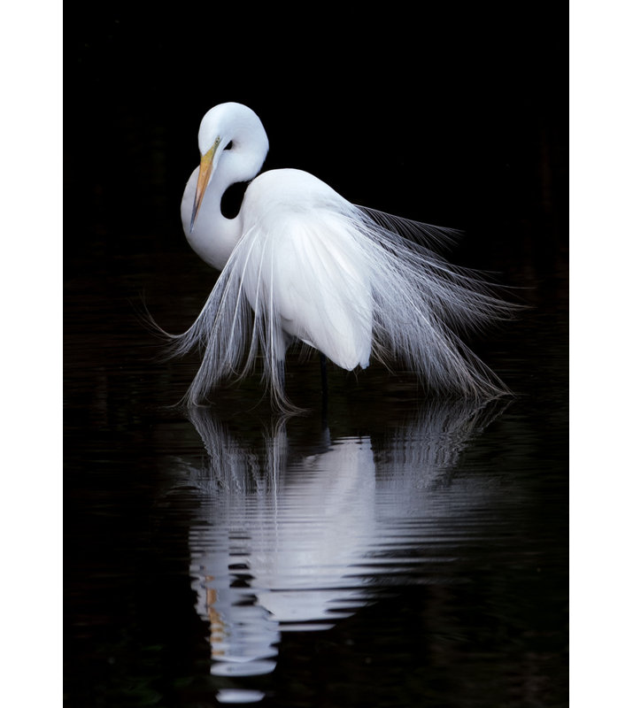 1 Piece Wrapped Canvas Wall Art, 76.2 cm H x 50.8 cm W