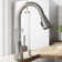 Graham 16" H 1-handle Pull-Down 2-Function Sprayer Kitchen Faucet