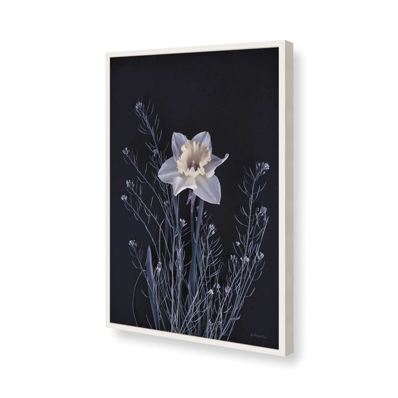 «Spring Gathering IV» par Robin-Lee Vieira, reproduction d'art, 8 W x 12 H, White, Framed Print