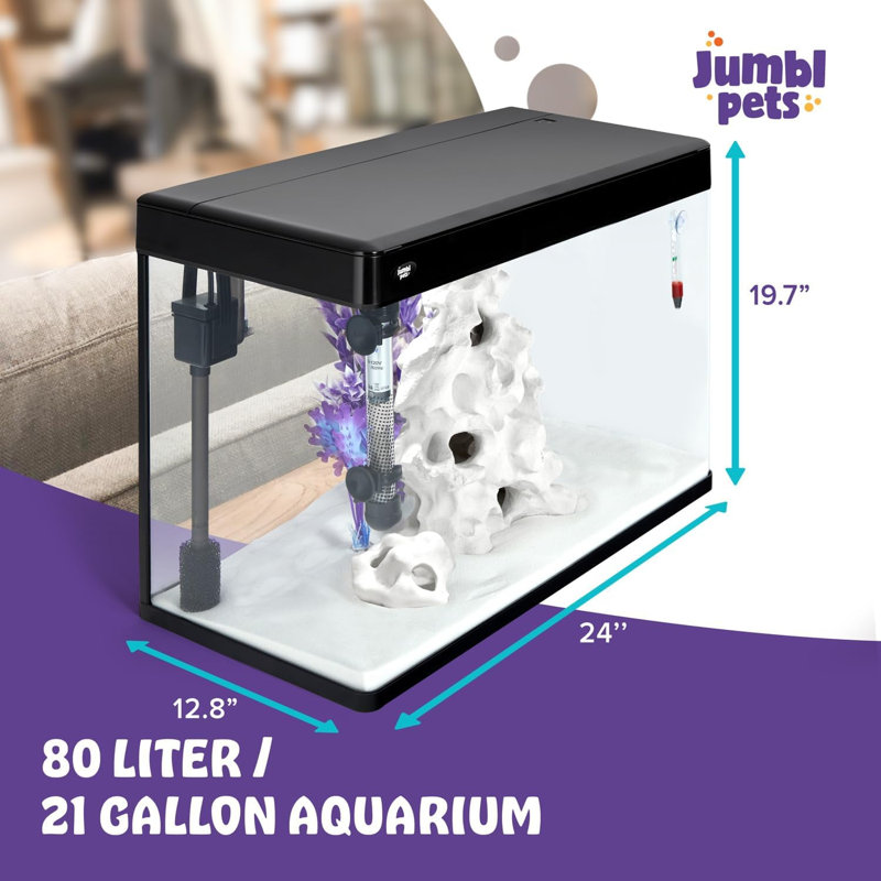Aquarium Dereyon, 21 gallons (H 19,7 po x l 12,8 po x P 24 po)