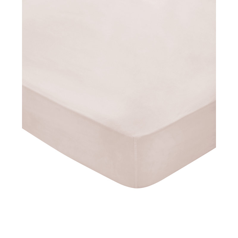BOB 300TC EQYPTIAN COTTON 100% Cotton Plain Weave / Muslin Fitted Sheet, Double (4'6), White