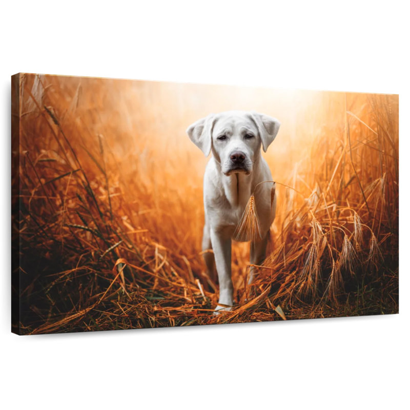 Brampt Lost Labrador Retriever, 8" H x 12" W