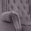Henley Baden Wingback Chair-48422379-134098281