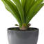 Agave artificielle verte en pot 22 po
