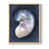 Natural selected