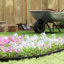 Plastic Lawn Edging-125152830-125152825