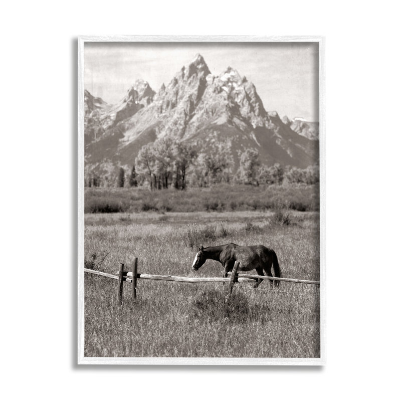 Cheval et paysage de montagne encadré sur bois par Daniel Sproul, H 30 po x l 24 po x P 1,5 po