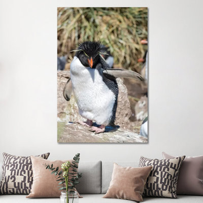 «Rockhopper Penguin, Subspecies Western Rockhopper Penguin» par Martin Zwick - photographie sur toile tendue