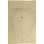 Rectangle Rectangle 5'1'' X 7'9'' Area Rug