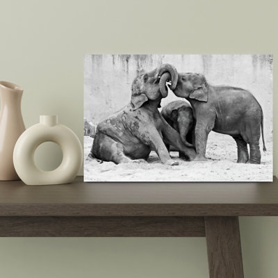 Playful Elephant Calves by Antje Wenner-Braun - Wrapped Canvas Print