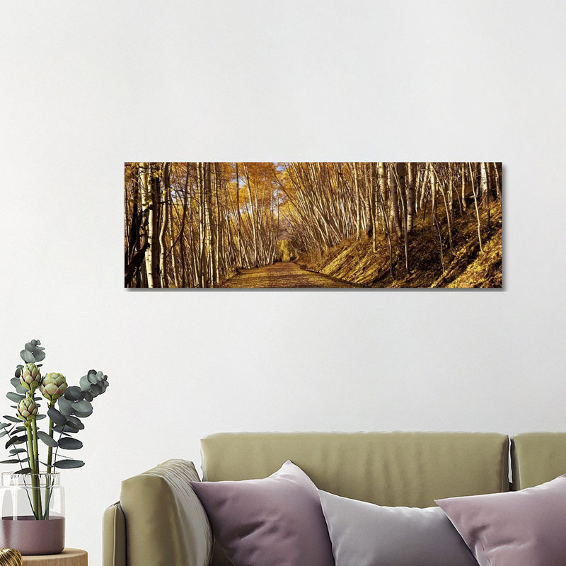 Road Passing Through a Forest 1 Piece Wrapped Canvas Panoramic Wall Art, 121.92 cm H x 40.64 cm W x 3.175 cm D