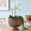 Burma Handmade Rattan Planter-533316053