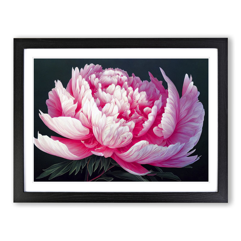 Idyllic Peony Flower - Single Picture Frame Print, Black, 46cm H x 64cm W x 2cm D