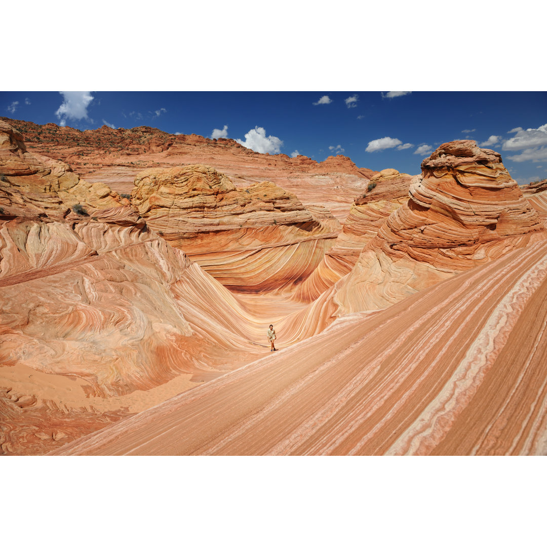 Ranger Walking Through The Wave von 4FR - Kunstdrucke auf Leinwand ohne Rahmen