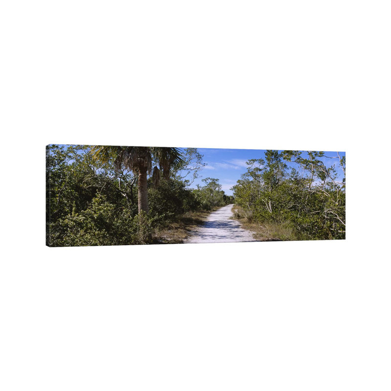 Dirt Road Passing Through A Forest, Indigo Trail, J.N. Ding Darling National Wildlife Refuge, Sanibel Island, Florida, USA - Wrapped Canvas Panoramic Print