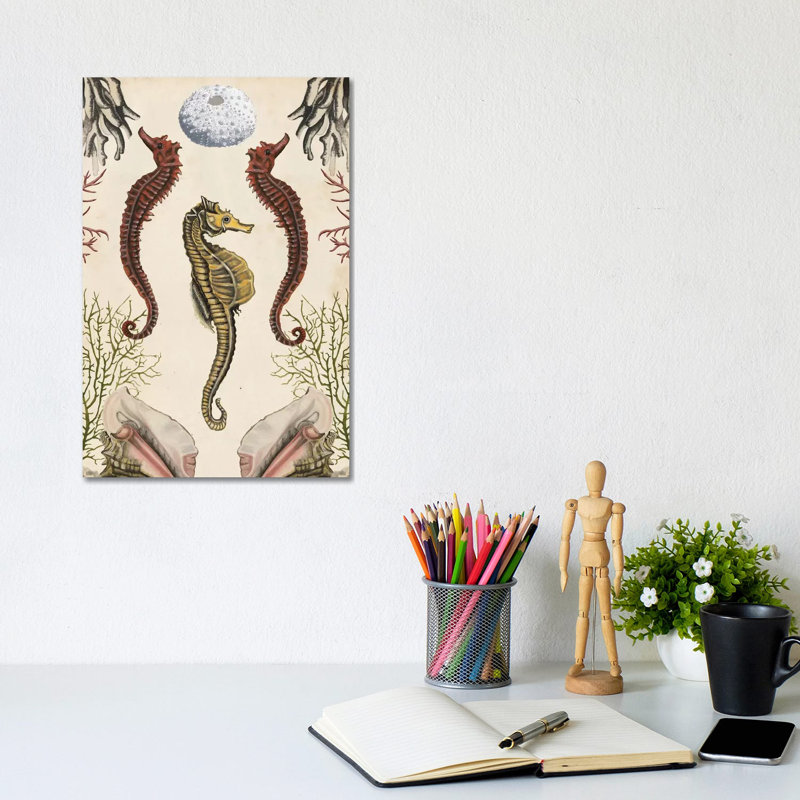 Antiquarian Menagerie: Seahorse by Naomi McCavitt - Wrapped Canvas Gallery-Wrapped Canvas Giclée, 20.32 cm H x 30.48 cm W