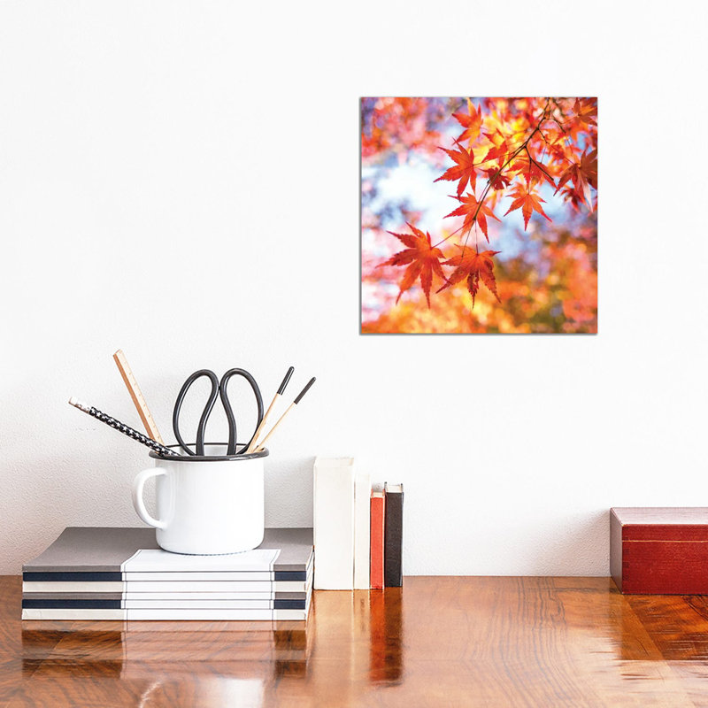 Japanese Maple Tree In Autumn by Jan Becke - Wrapped Canvas Print, 30.48 cm H x 30.48 cm W