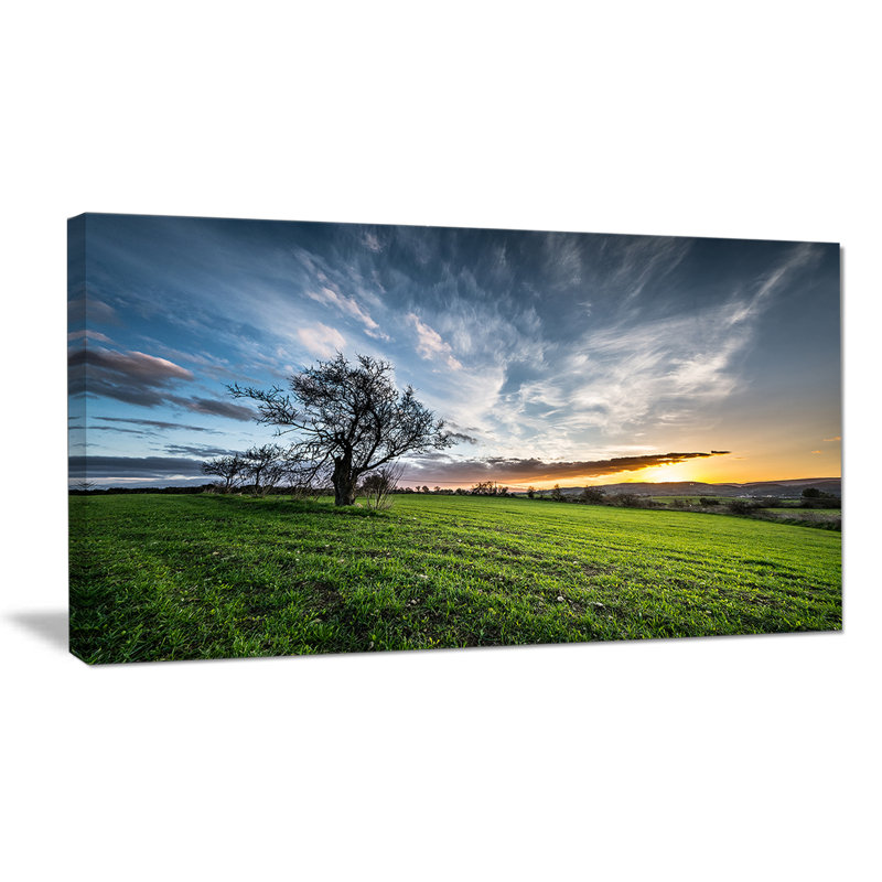 Green Grass Field in Sardinia - Reproduction de photo sur toile tendue, H 16 po x l 32 po