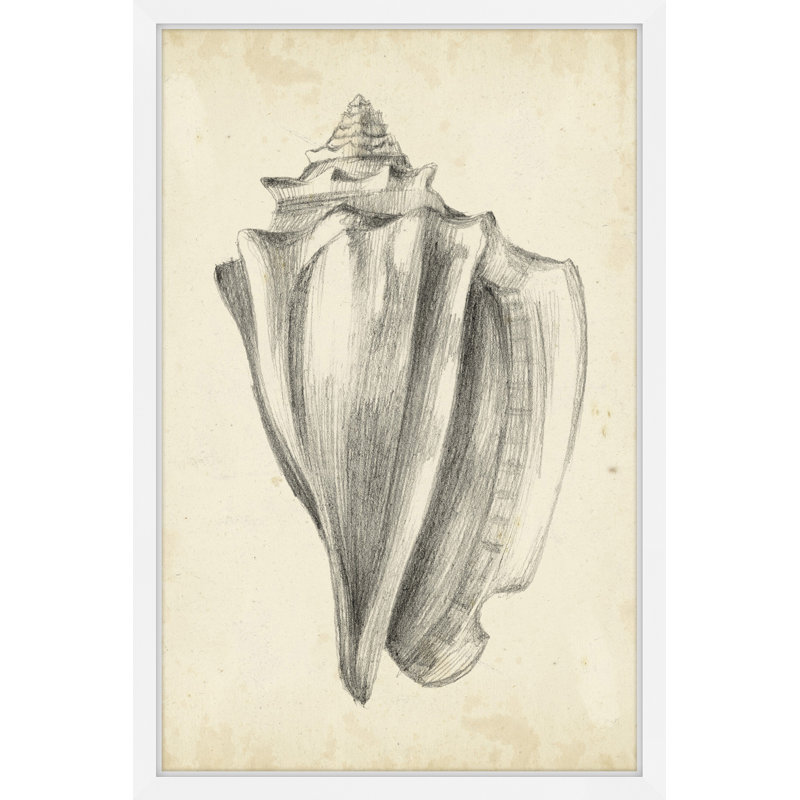 Single Picture Frame Print, 61 cm H x 41 cm W