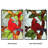 Animals Window Panel