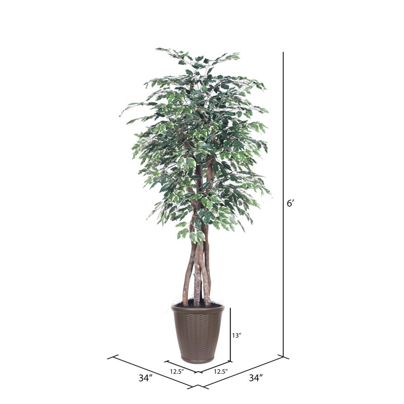Ficus artificiel 72 po en pot, Brun