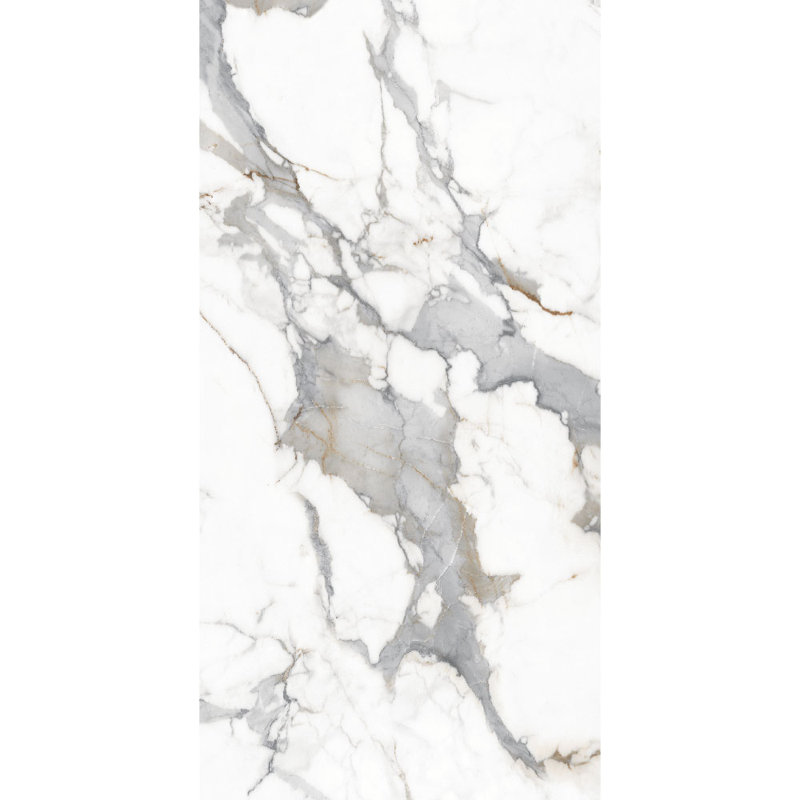 Calacatta Carrara 24'' x 48'' Marble Look Wall & Floor Matt Porcelain Tile