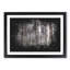 Pretty Forest - Picture Frame Graphic Art Print-56861470-56861472