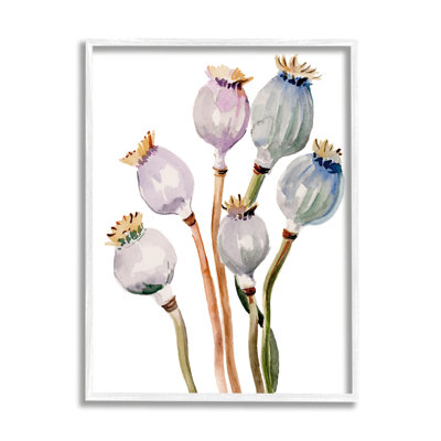 «Poppy Pods Watercolor Botanicals» par Jennifer Paxton Parker